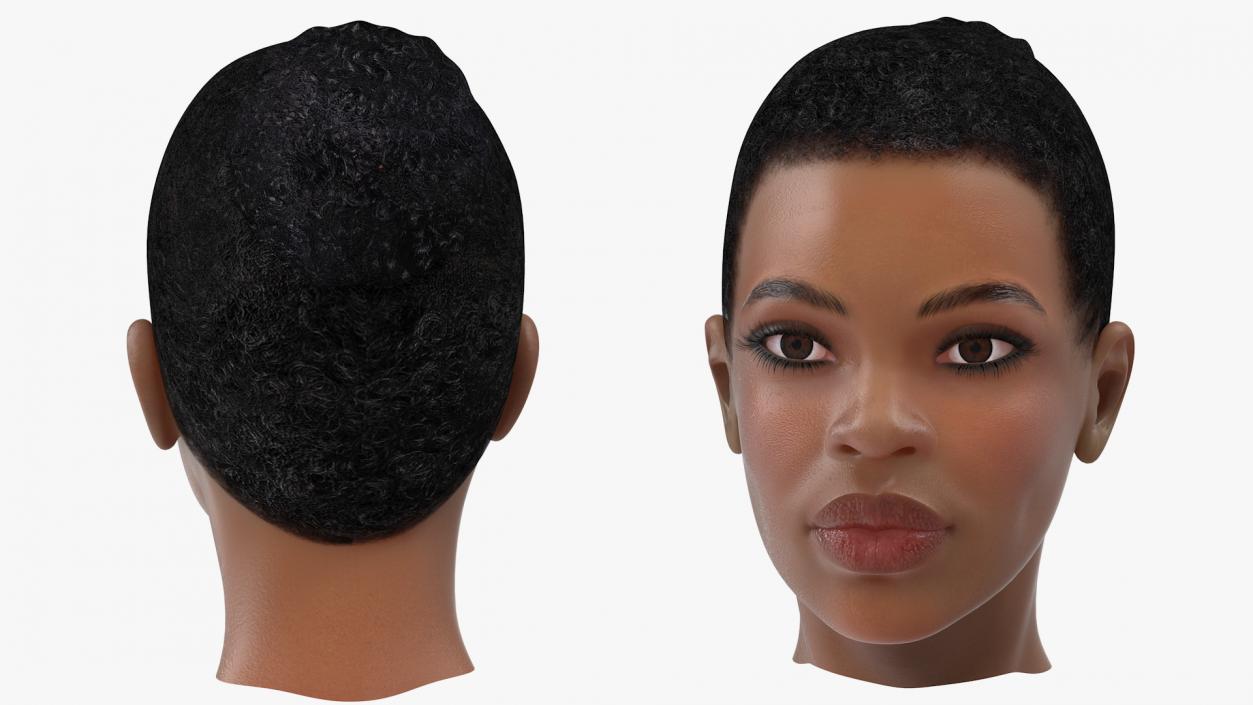 3D model Afro American Woman Head Light Skin