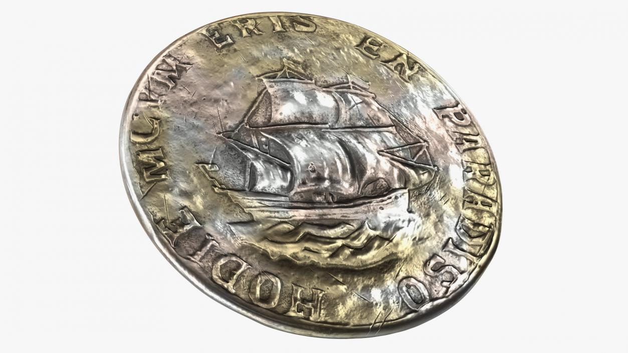 3D Treasure Pirate Coin Alloy