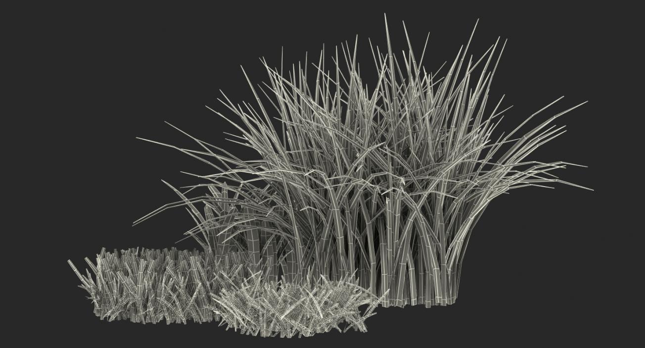 3D Grass Collection