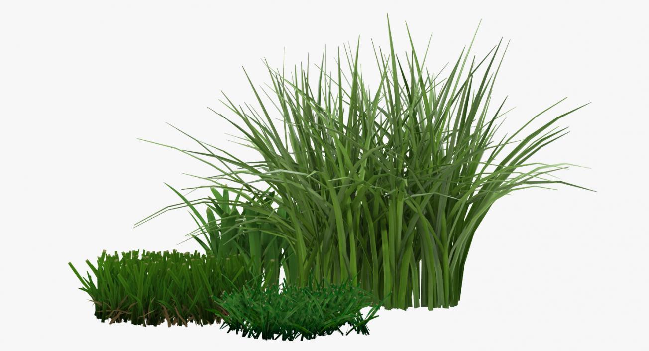 3D Grass Collection