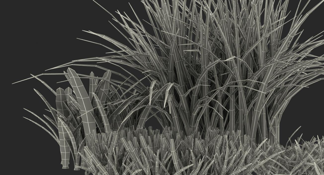 3D Grass Collection