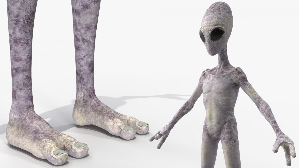 Humanoid Alien 3D model