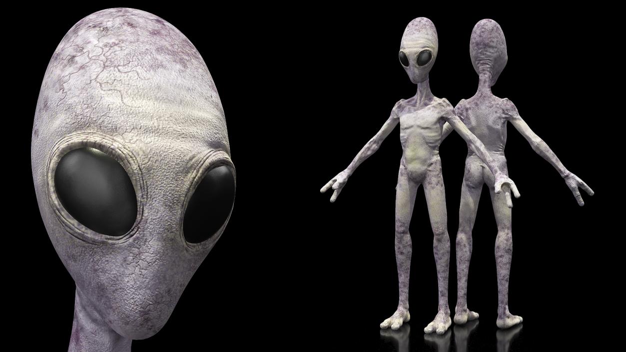 Humanoid Alien 3D model