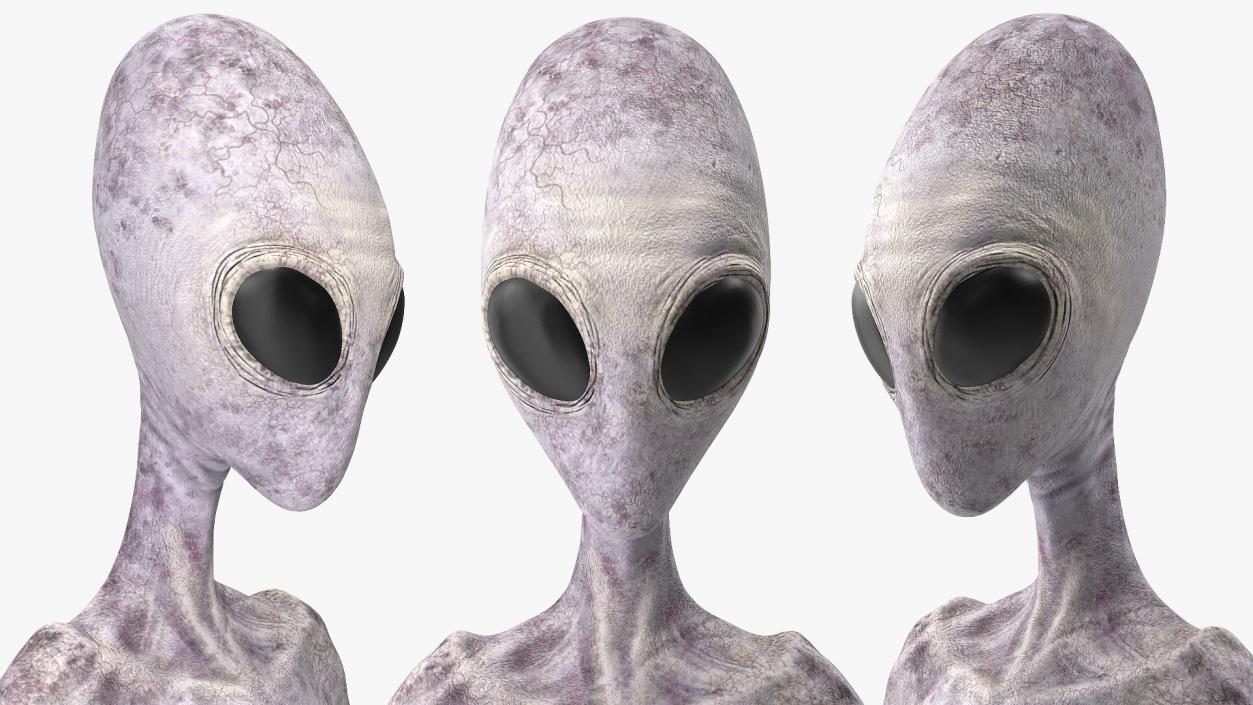 Humanoid Alien 3D model