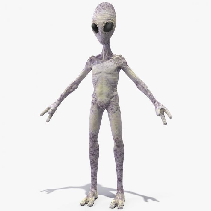 Humanoid Alien 3D model