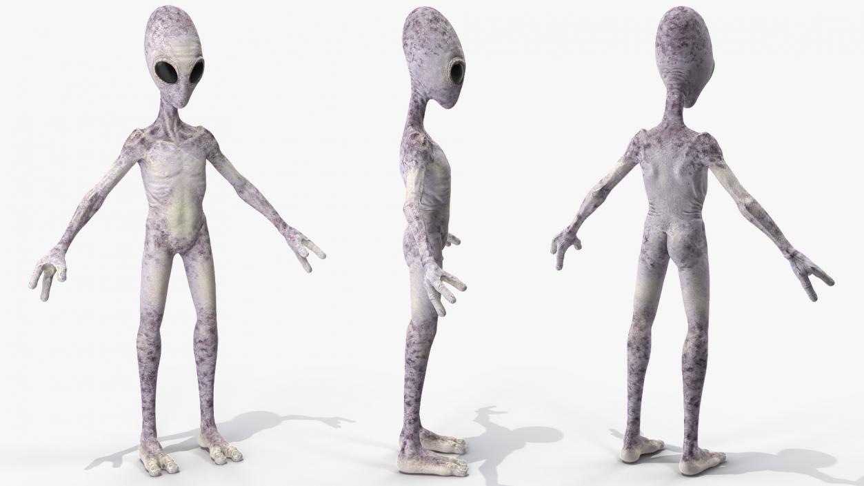 Humanoid Alien 3D model