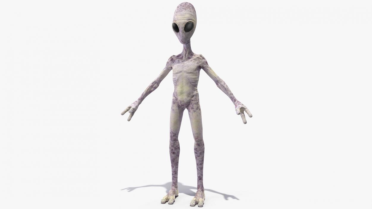 Humanoid Alien 3D model