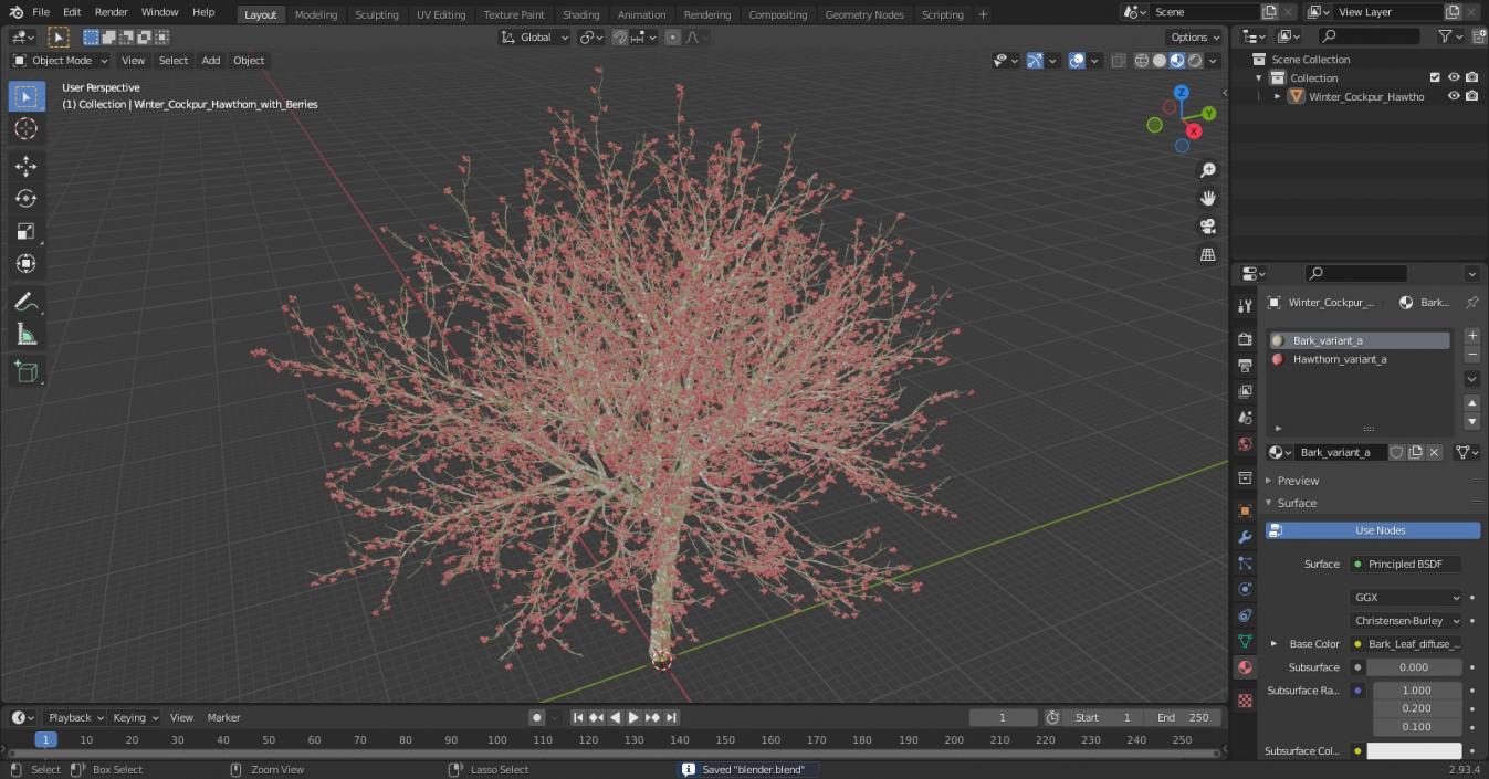 3D Winter Cockpur Hawthorn with Berries