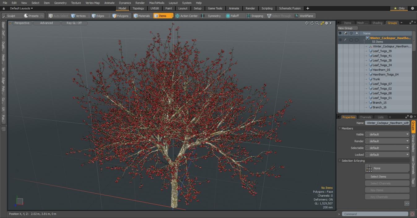 3D Winter Cockpur Hawthorn with Berries