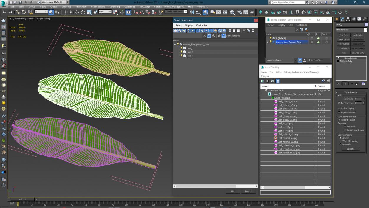 3D Leaves from Banana Tree model