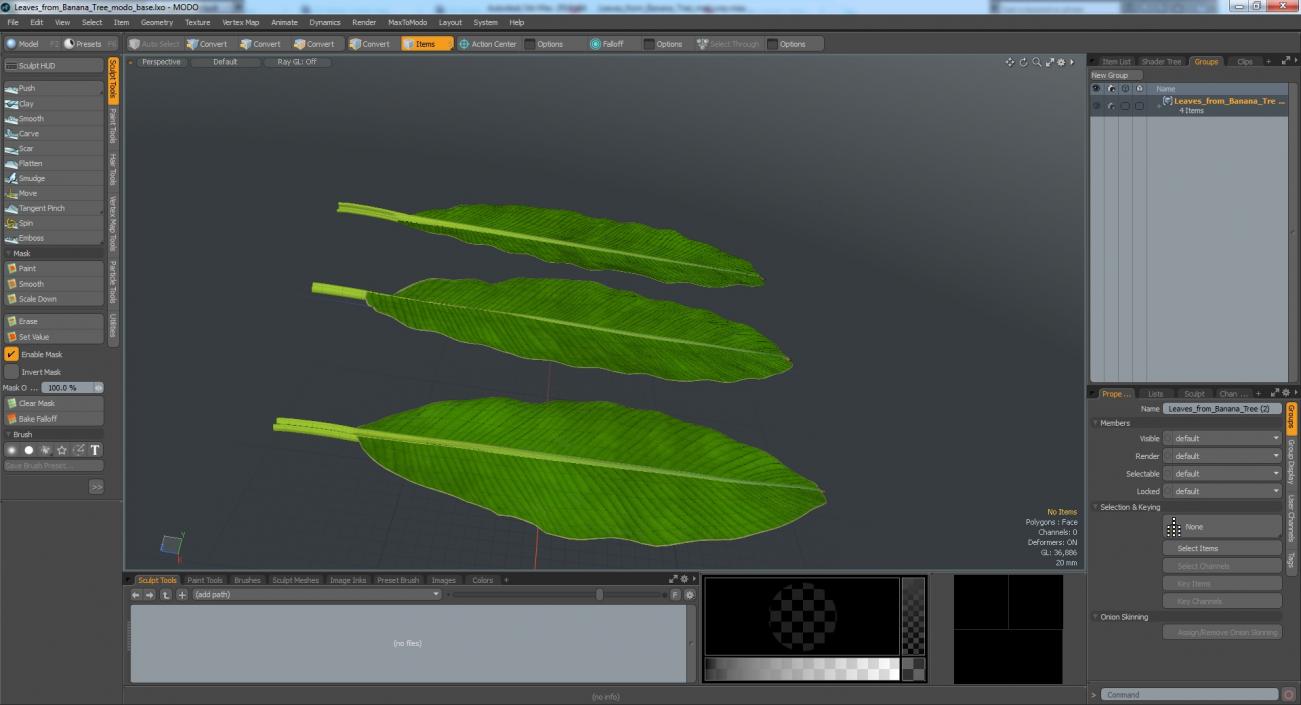 3D Leaves from Banana Tree model