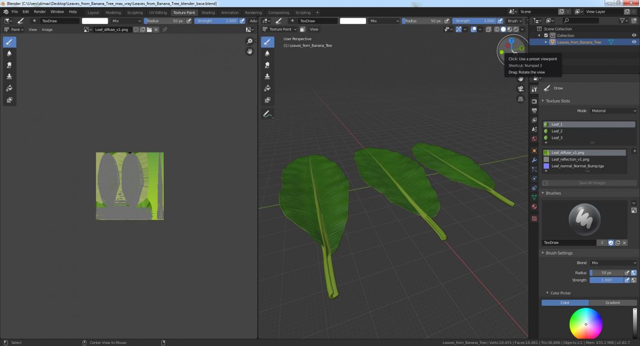 3D Leaves from Banana Tree model