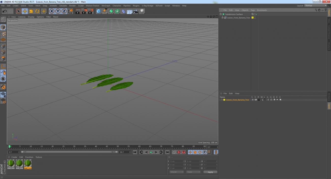 3D Leaves from Banana Tree model