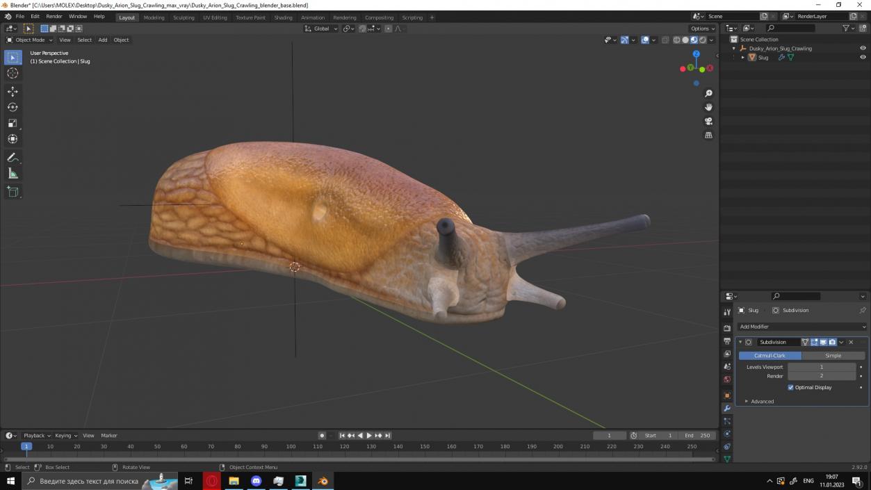 3D model Dusky Arion Slug Crawling