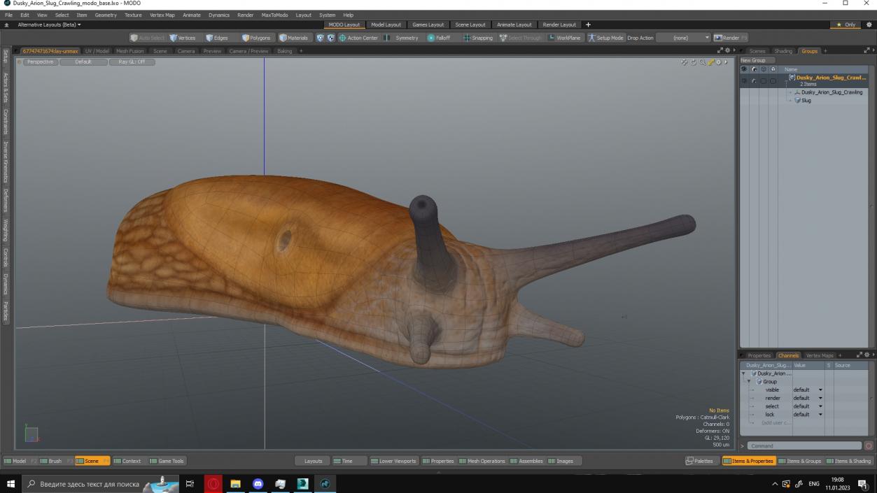 3D model Dusky Arion Slug Crawling