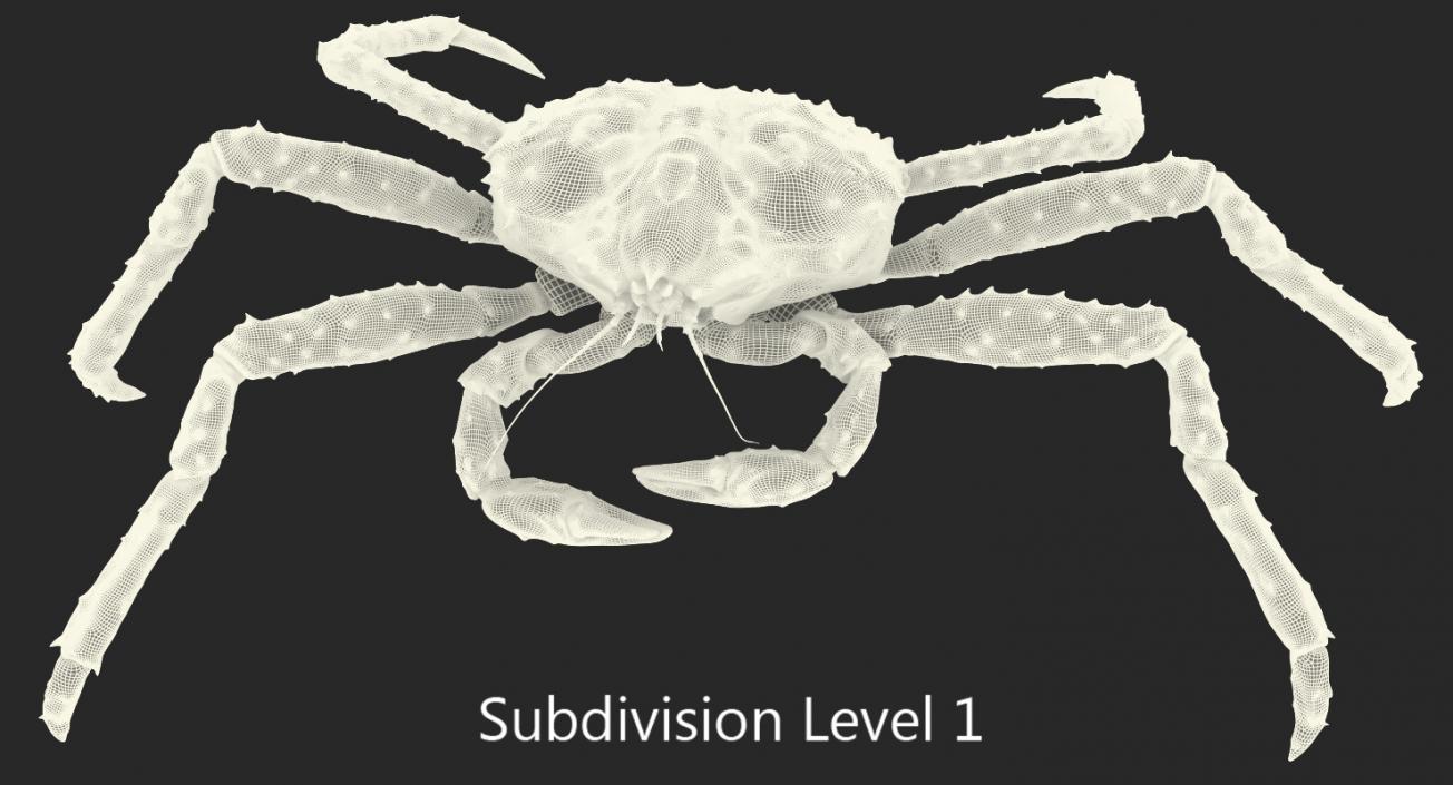 3D model Alaskan King Crab Walking Pose