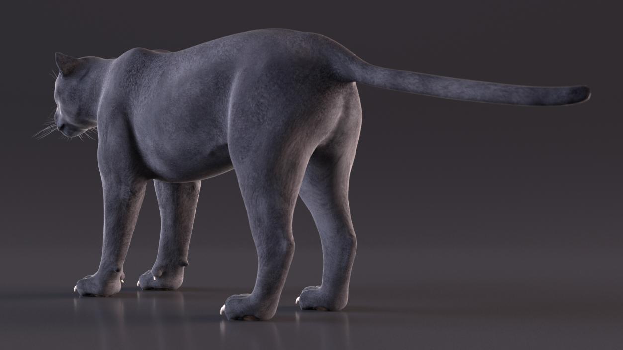 3D model Black Panther 2