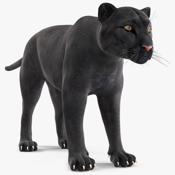 3D model Black Panther 2