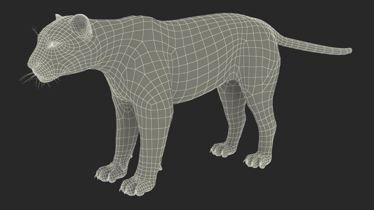 3D model Black Panther 2