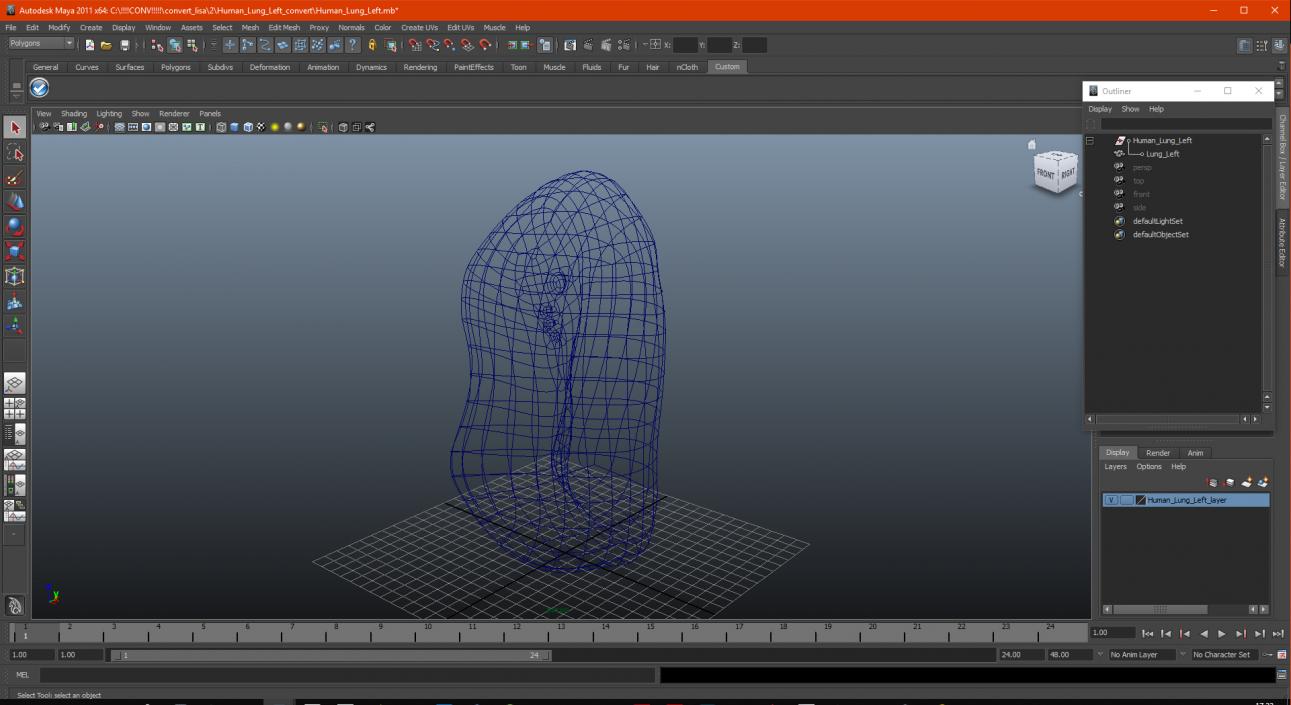 3D model Human Lung Left