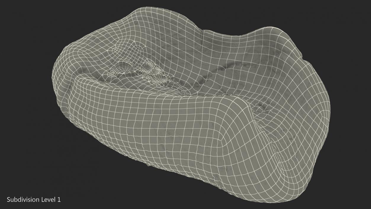 3D model Human Lung Left