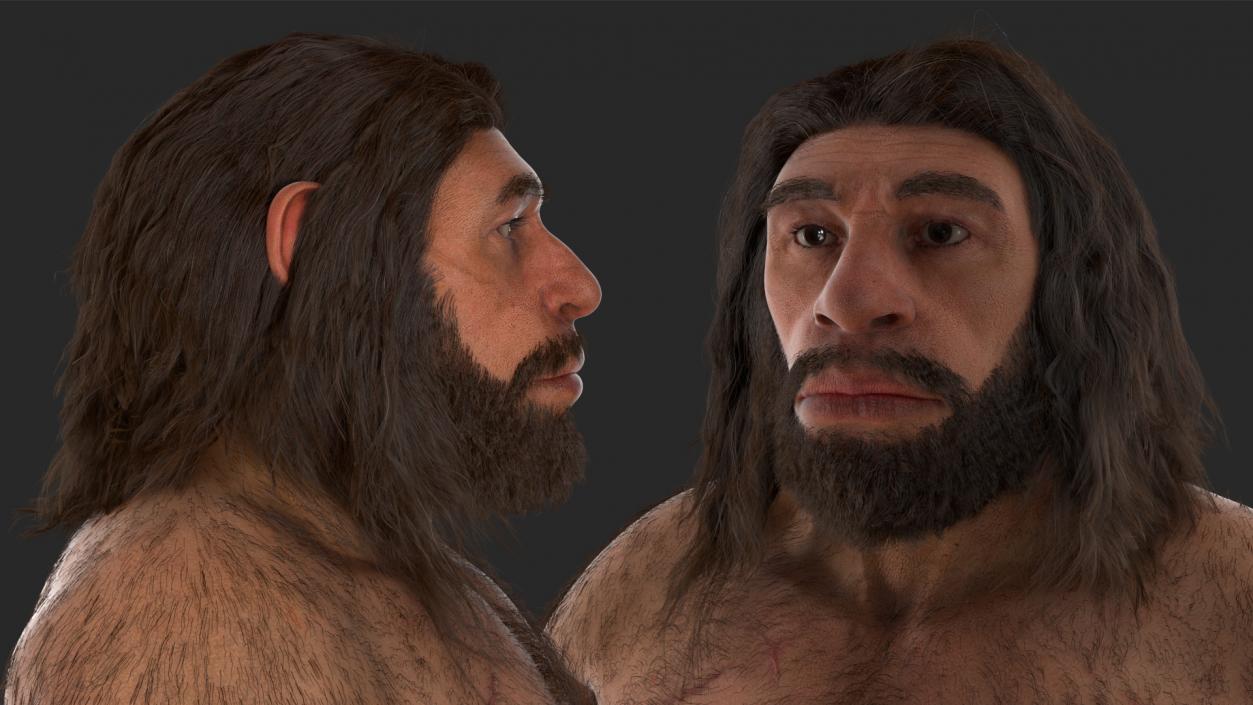 3D model Ancient Neanderthal Fur Rigged