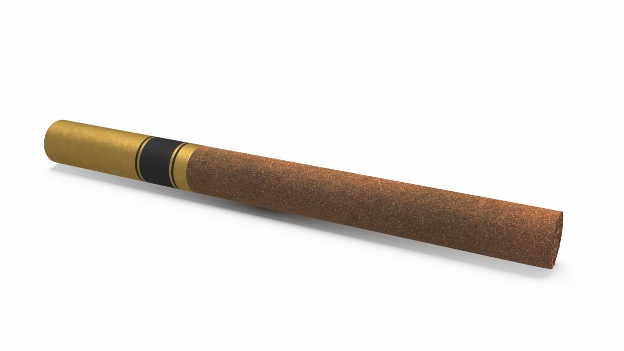 3D Filtered Cigar 2