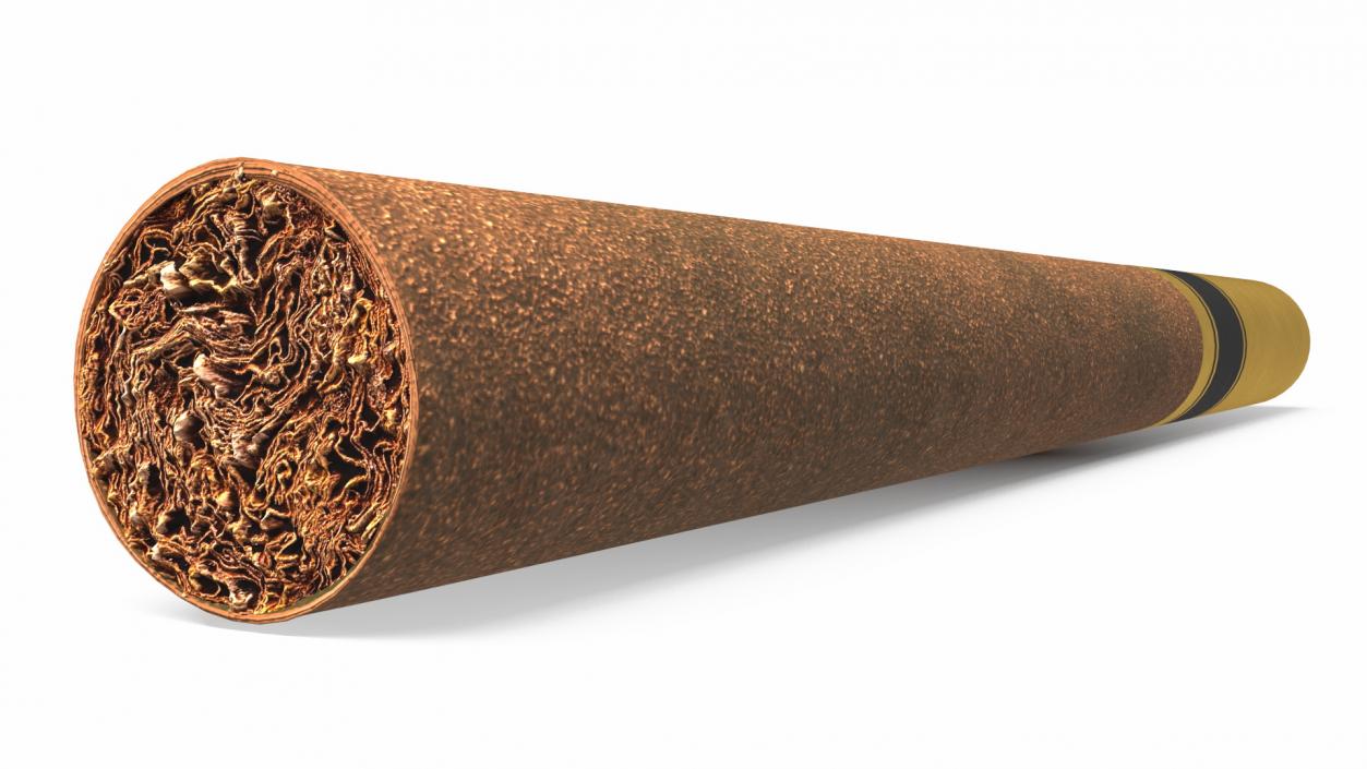 3D Filtered Cigar 2