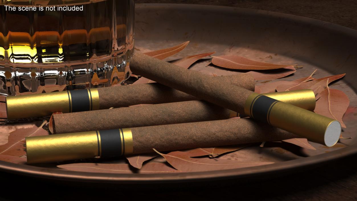 3D Filtered Cigar 2