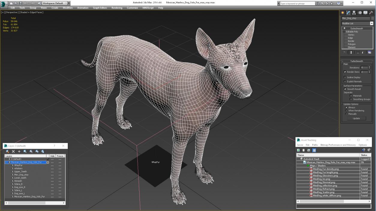 Mexican Hairless Dog Xolo Fur 3D model