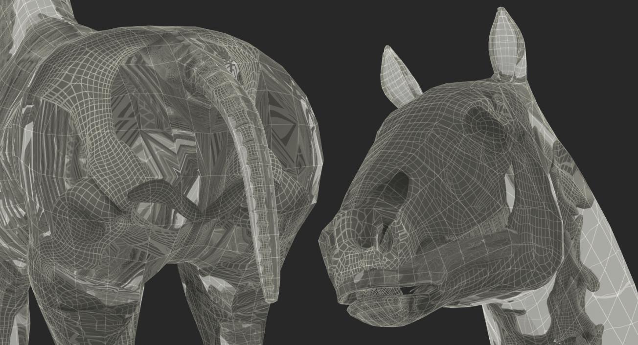 3D model Horse Envelope with Skeleton Rigged