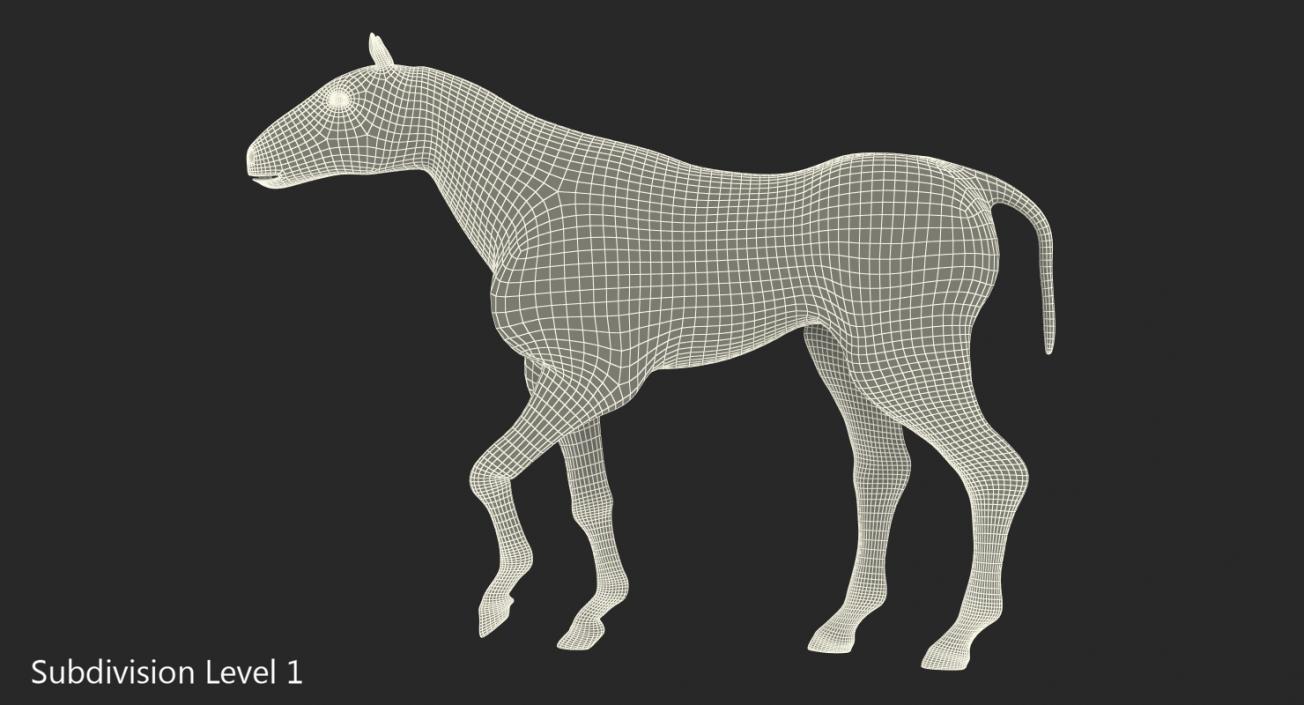 3D model Horse Envelope with Skeleton Rigged