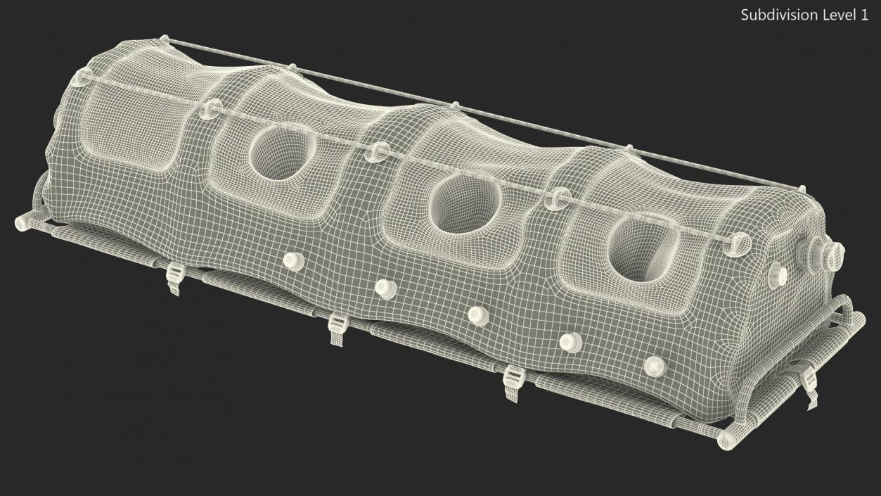 3D model Bioprotection Transport System