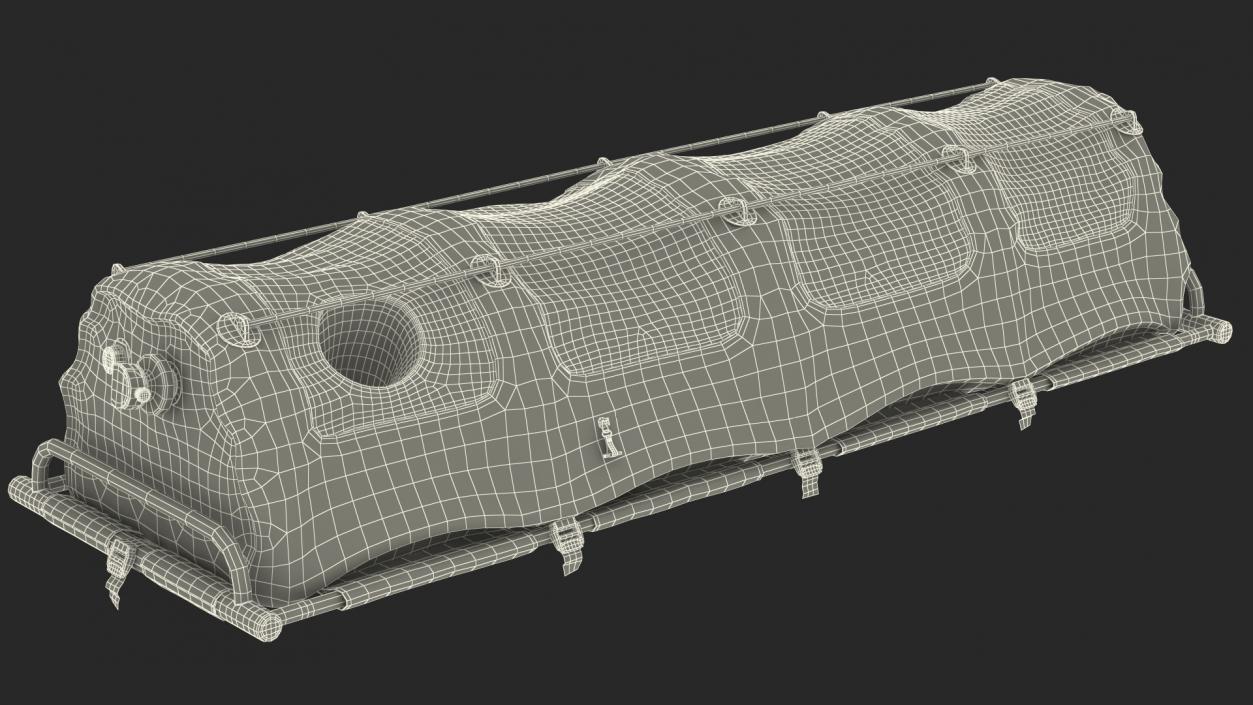 3D model Bioprotection Transport System