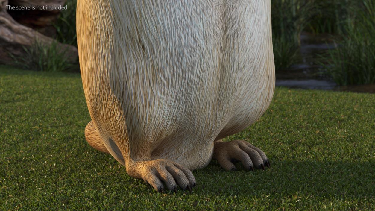 3D Groundhog Standing on Hind Legs