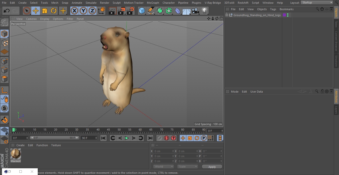 3D Groundhog Standing on Hind Legs