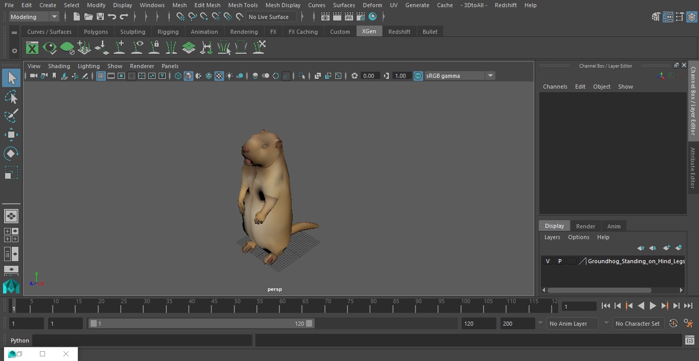 3D Groundhog Standing on Hind Legs