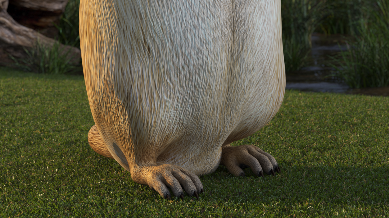 3D Groundhog Standing on Hind Legs