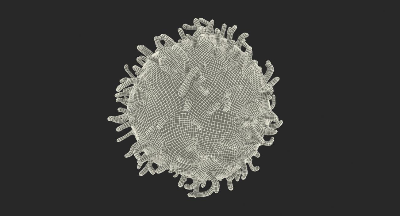 3D White Blood Cell