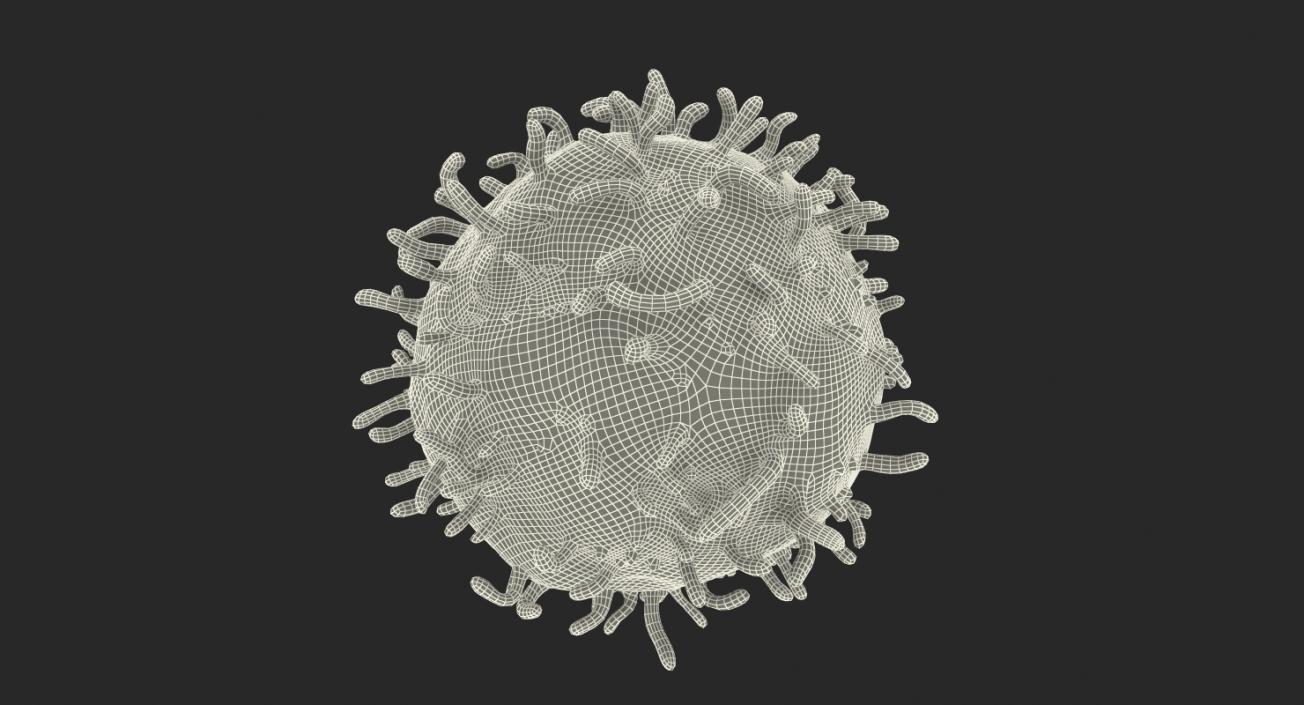 3D White Blood Cell