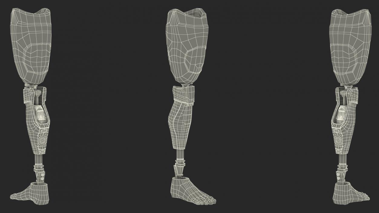 3D model Man Wearing Lower Limb Prosthesis Rigged