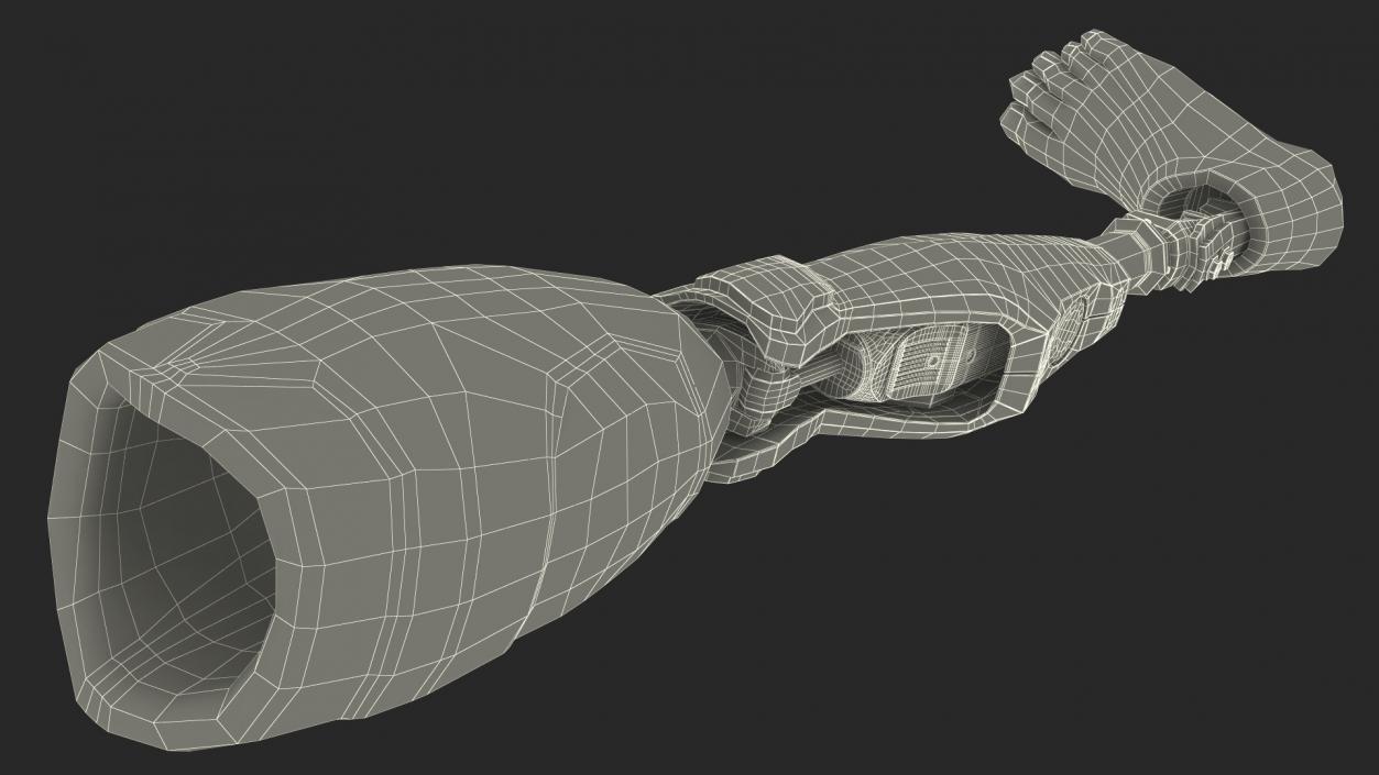 3D model Man Wearing Lower Limb Prosthesis Rigged