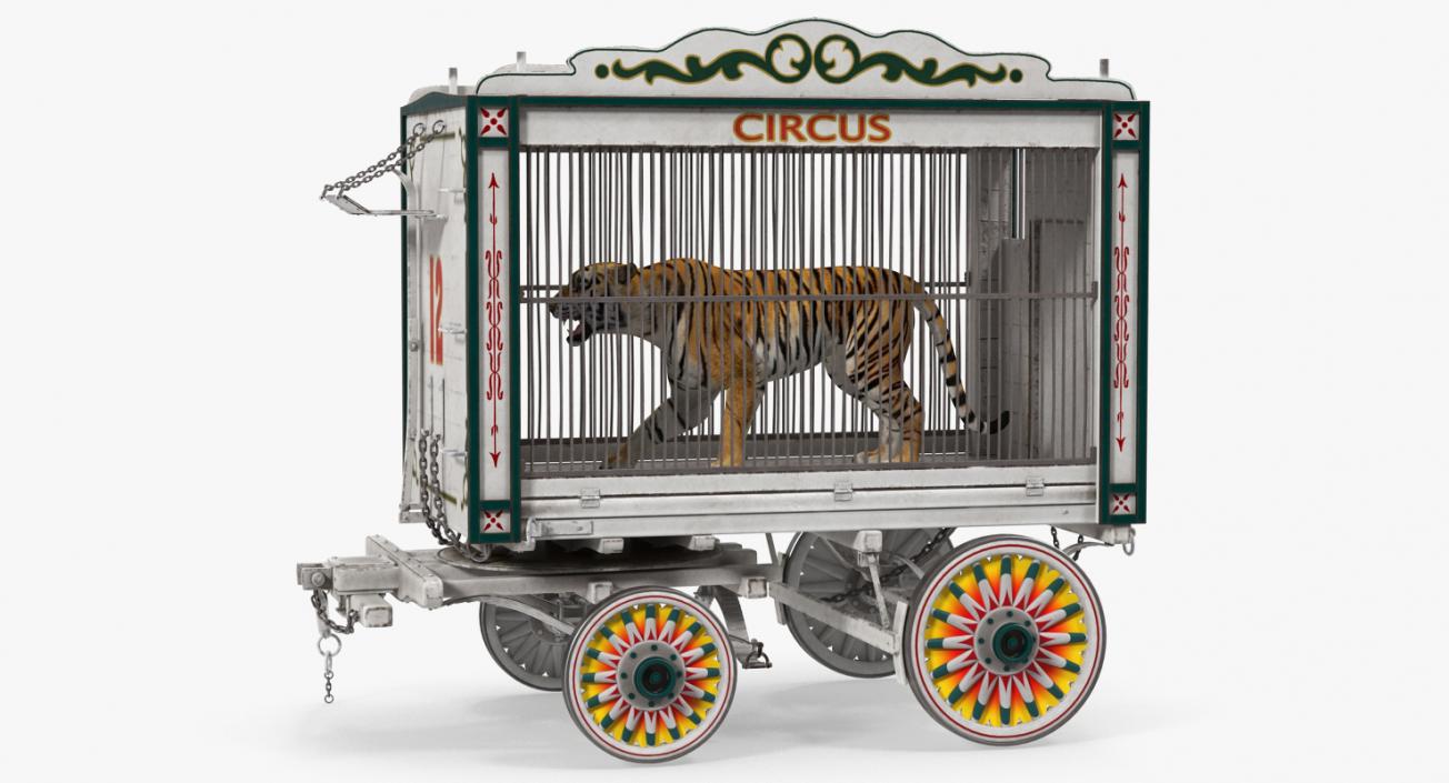 3D Tiger in Circus Wagon