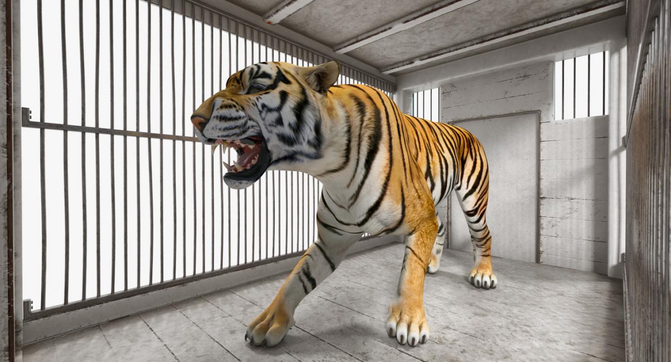 3D Tiger in Circus Wagon