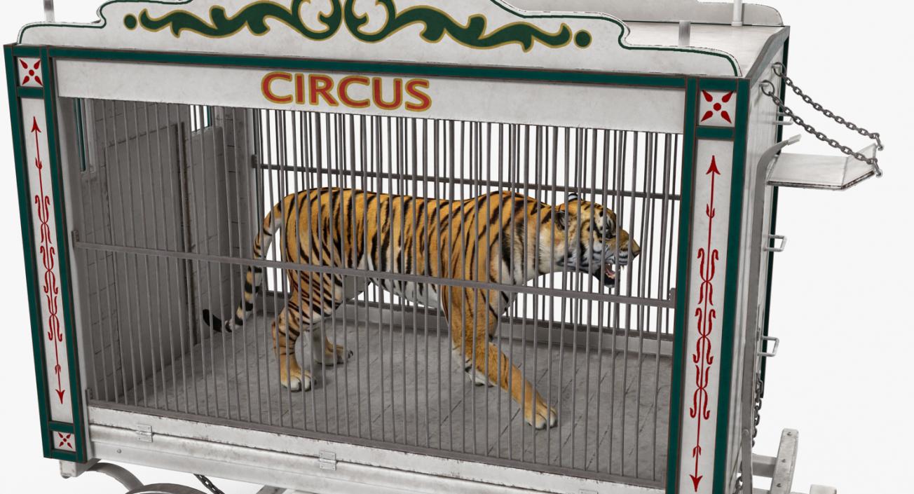 3D Tiger in Circus Wagon