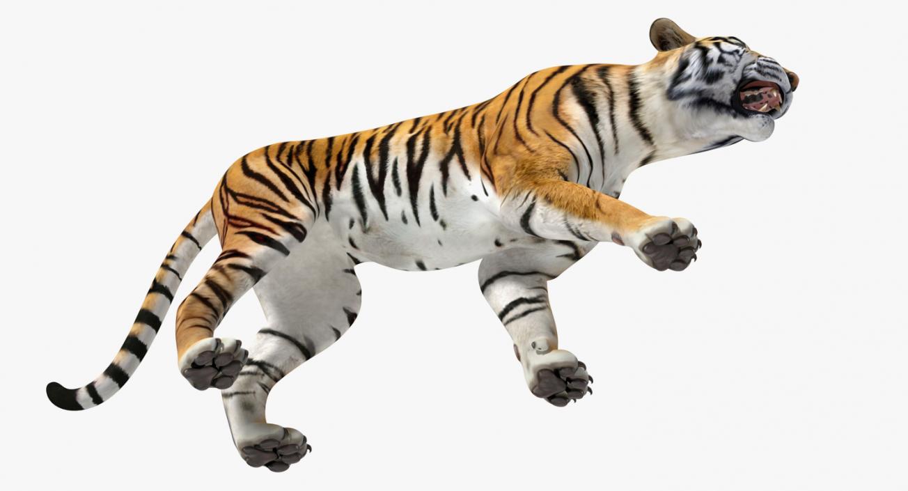 3D Tiger in Circus Wagon