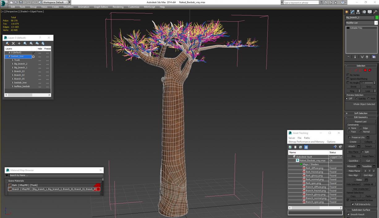 Naked Baobab 3D