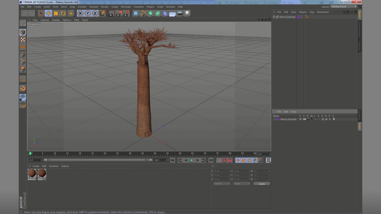 Naked Baobab 3D