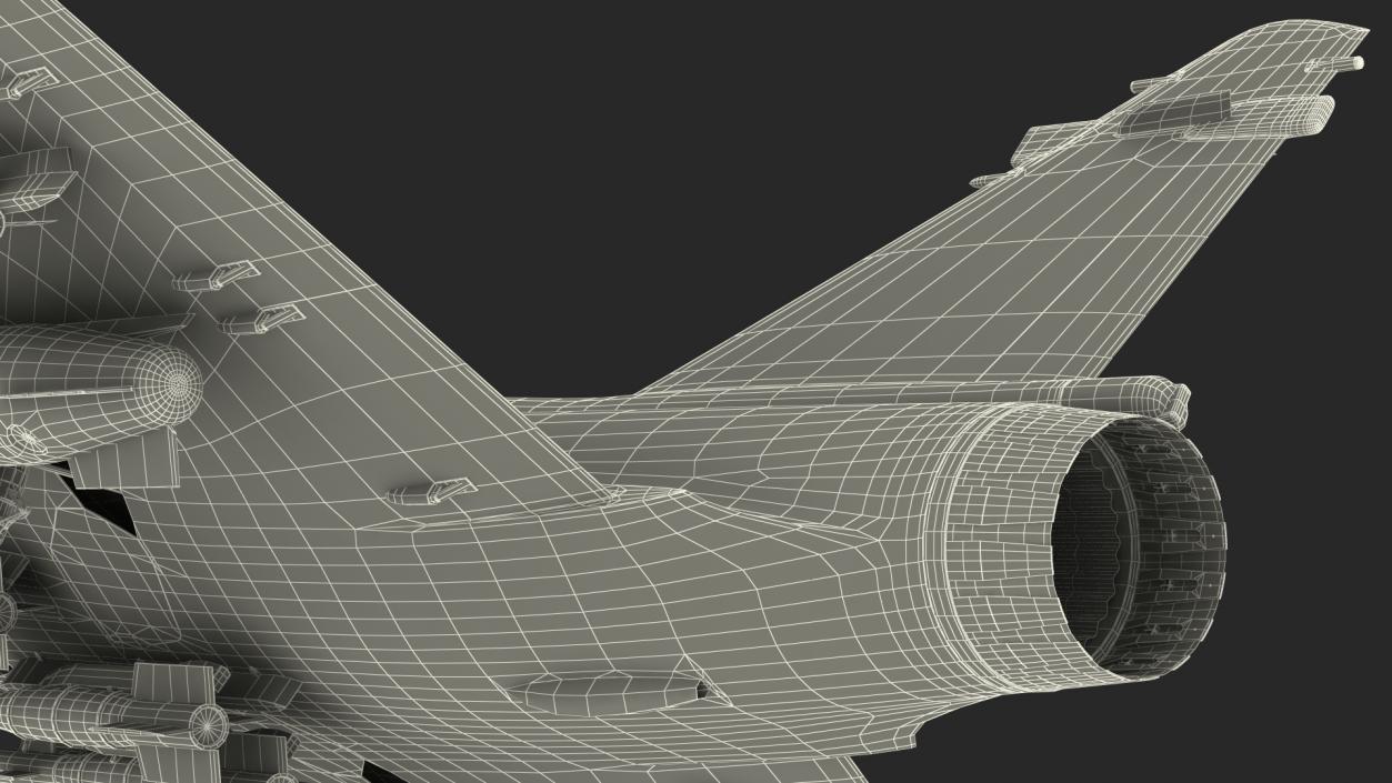 Dassault Mirage 2000N Tactical Bomber with Armament Camouflage 3D