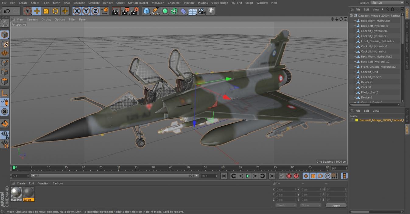 Dassault Mirage 2000N Tactical Bomber with Armament Camouflage 3D